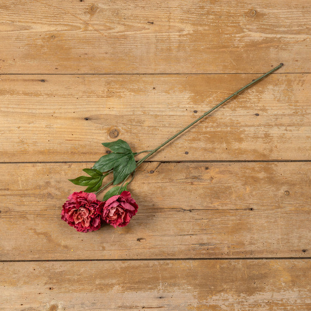 25" BURGUNDY PEONY STEM