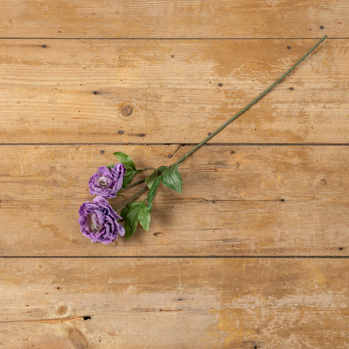 25" PURPLE PEONY STEM