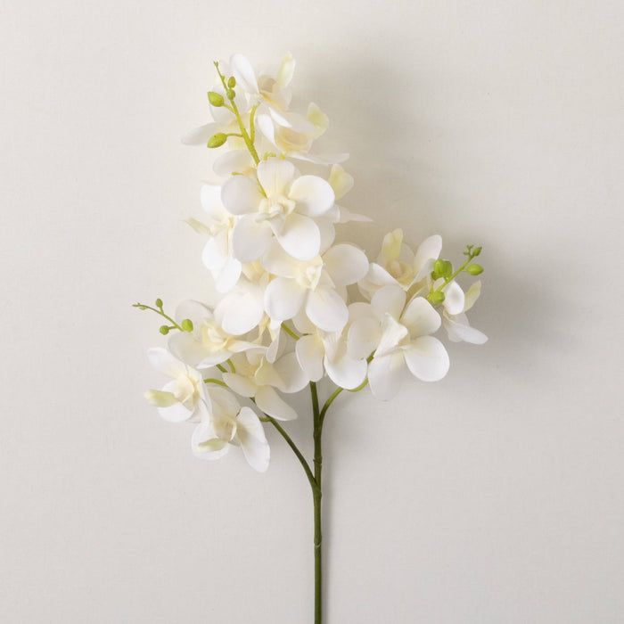 CREAM MINI ORCHID SPRAY