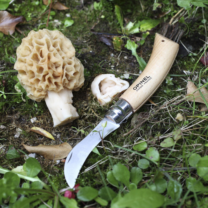 Opinel No. 08 Mushroom Knife