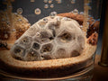 Petoskey Stone Beach Gel Candle