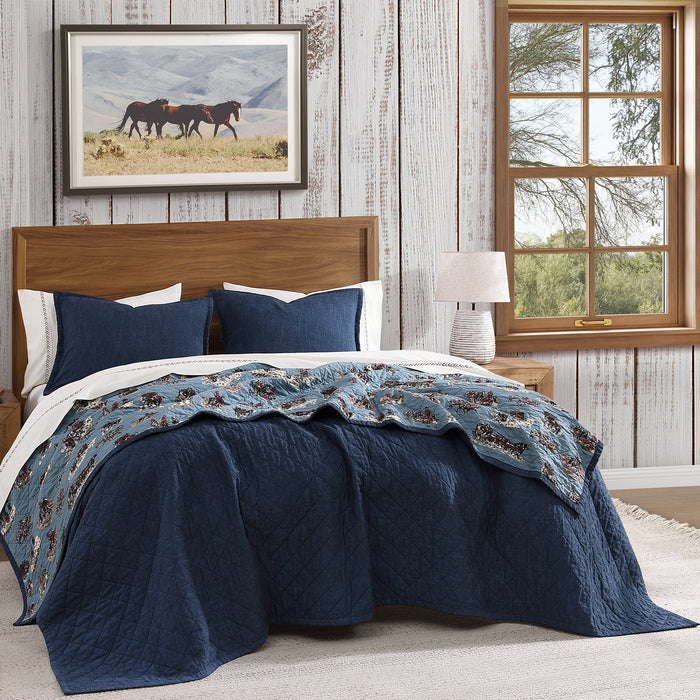 Settler Reversible Quilt Set